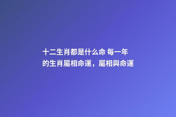 十二生肖都是什么命 每一年的生肖屬相命運，屬相與命運